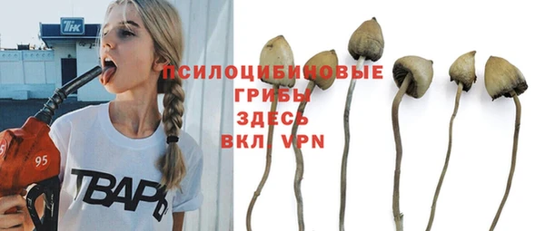 прущие крисы Алексин