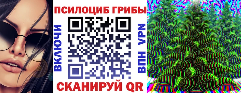 ОМГ ОМГ ССЫЛКА  Кувшиново  Галлюциногенные грибы прущие грибы  дарнет шоп 